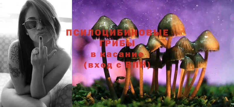 OMG зеркало  Касимов  Псилоцибиновые грибы Magic Shrooms 